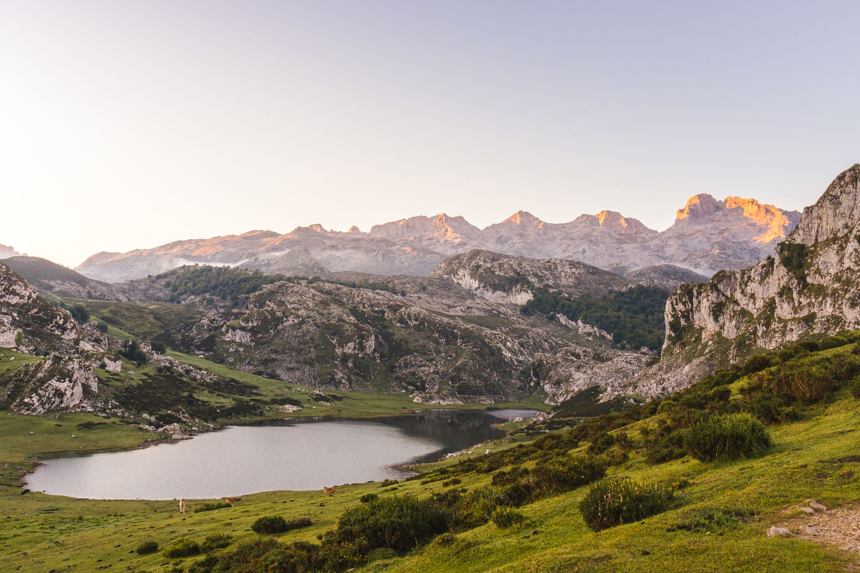 Lacs alpins Rhône-Alpes : Annecy, Bourget, Aiguebelette, Léman. Détente, baignade et paysages montagneux spectaculaires